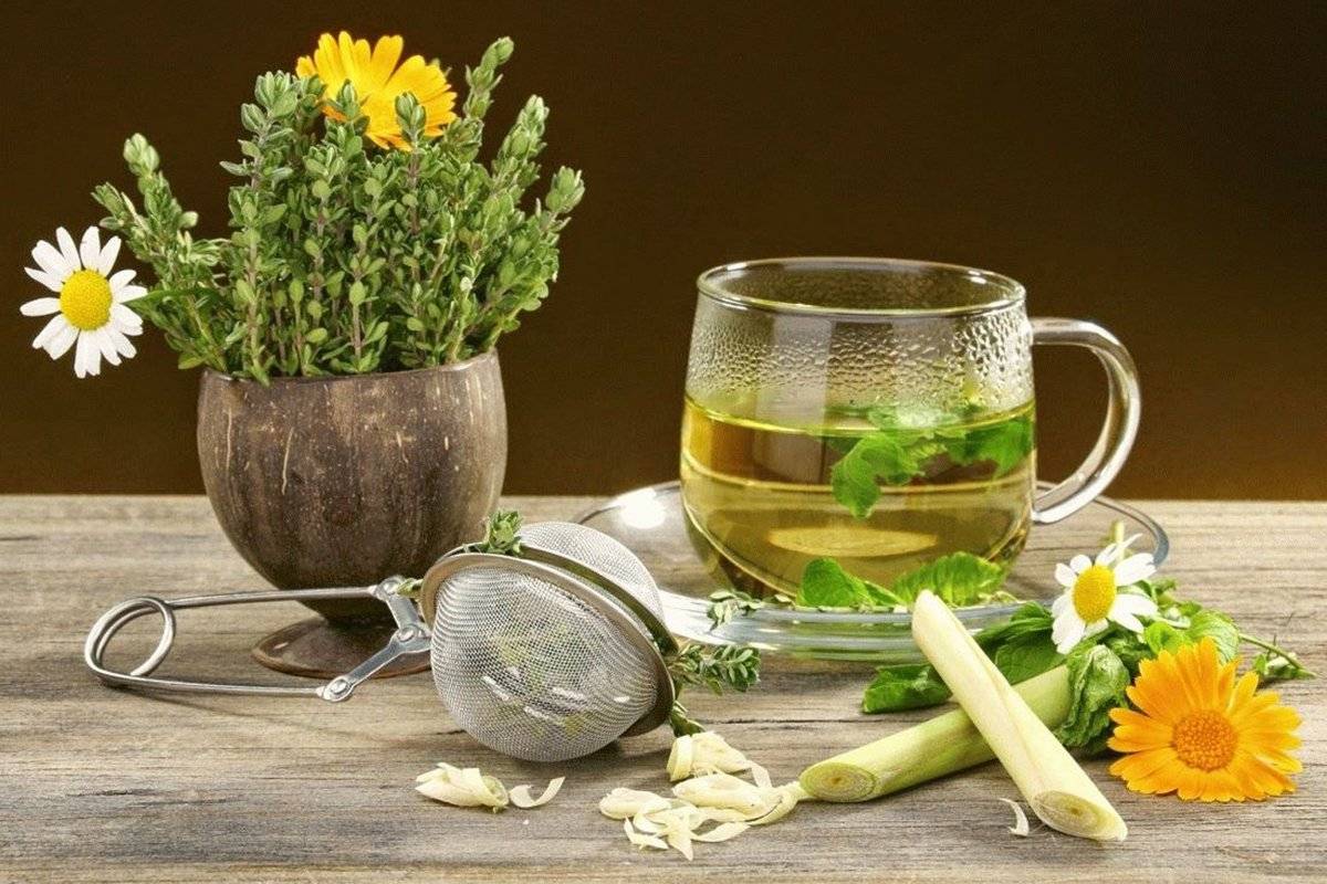 Plantas medicinales mexicanas secas